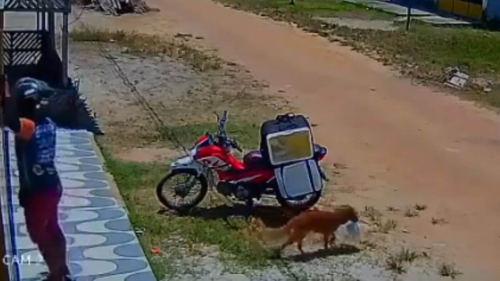 Cachorro rouba comida de motoboy