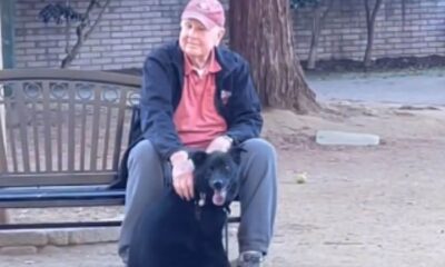 Cachorro abraçado com idoso em parque