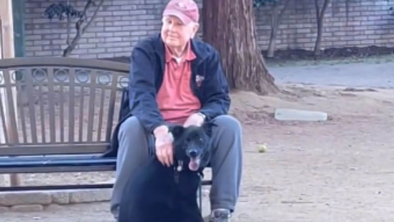 Cachorro abraçado com idoso em parque