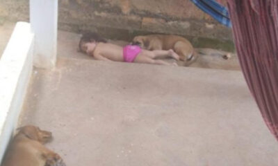 Bebê dormindo com cachorros