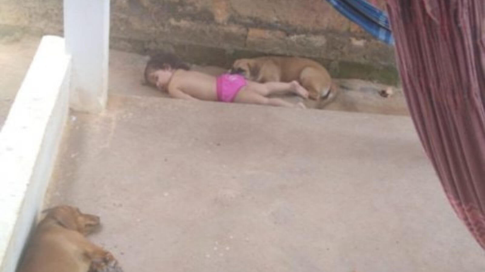 Bebê dormindo com cachorros