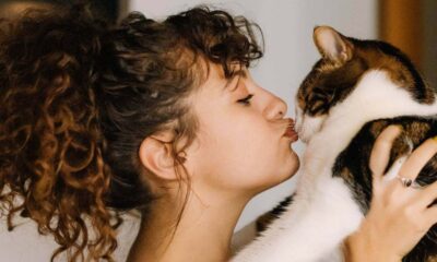 Mulher beijando gato